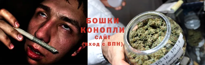 Канабис OG Kush  Новое Девяткино 